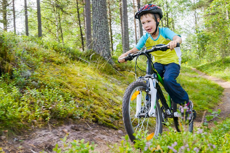 Pojke cyklar på terrängcykel längs en skogsstig
